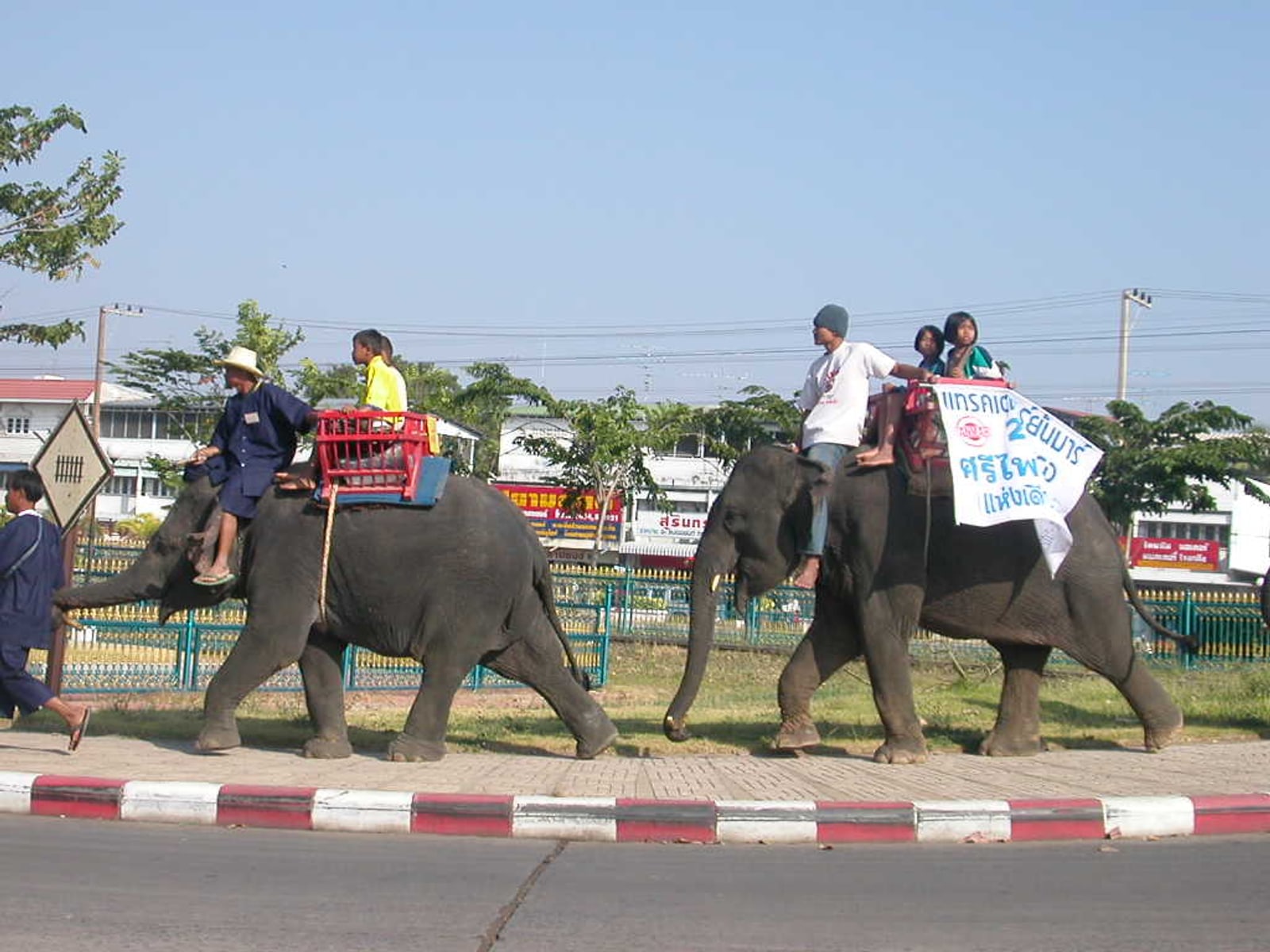 คู่มือเที่ยวสุรินทร์ อ่านเมืองผ่านผ้าไหม ชุมชน และวัฒนธรรมช้าง